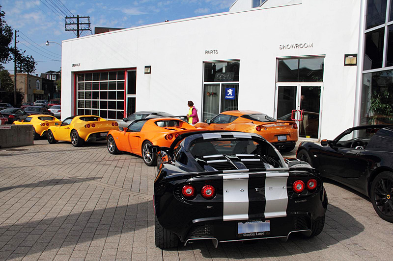 lotus of toronto