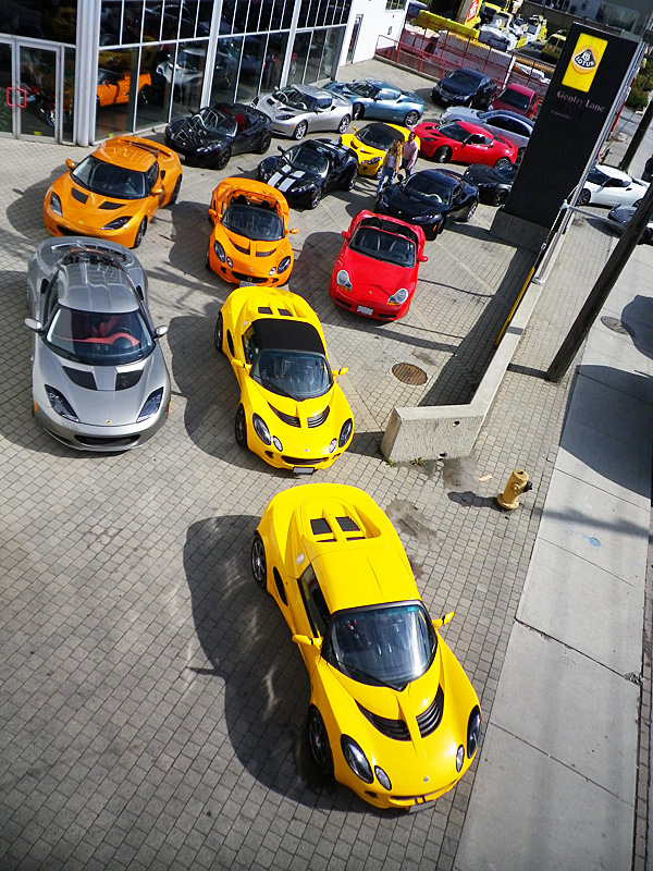 lotus of toronto